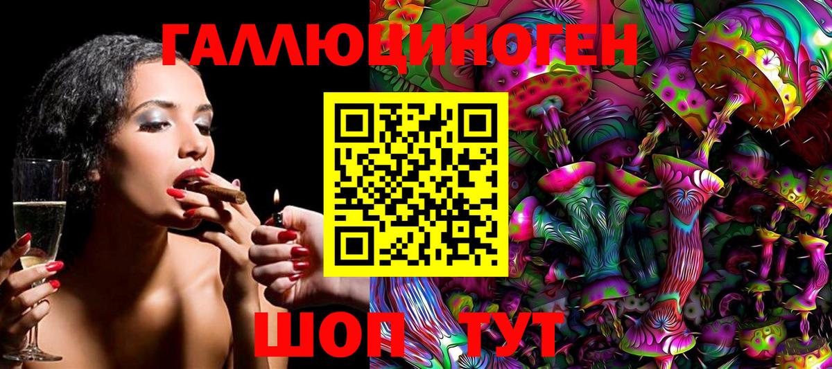 Красноярск  как найти   Вход с VPN  Галлюциногенные грибы MAGIC MUSHROOMS  Галлюциногенные грибы Psilocybine cubensis 